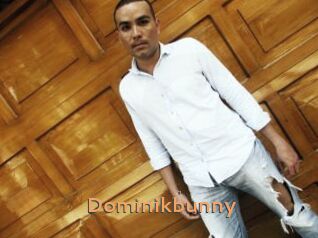 Dominikbunny