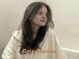 Daisybeames