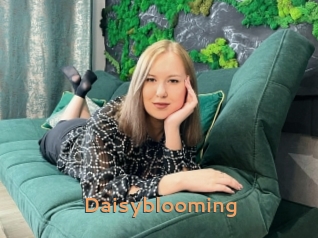 Daisyblooming