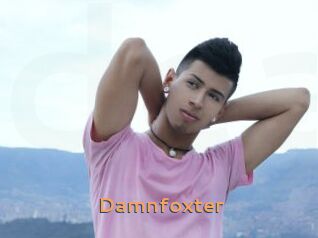 Damnfoxter