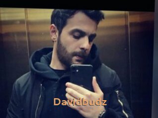 Davidbudz