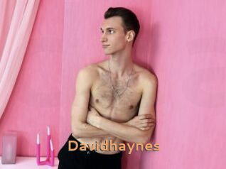 Davidhaynes