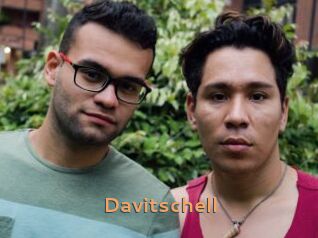 Davitschell