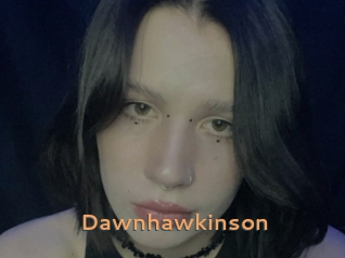 Dawnhawkinson