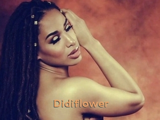 Didiflower