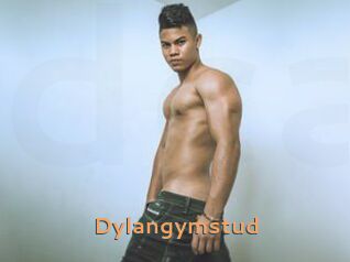 Dylangymstud