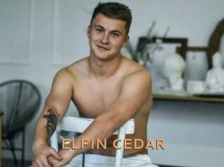 ELFIN_CEDAR