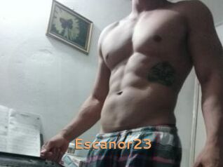 Escanor23