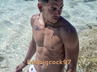 Eddbigcock97