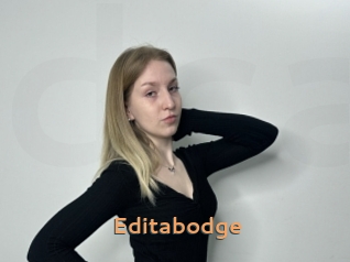 Editabodge