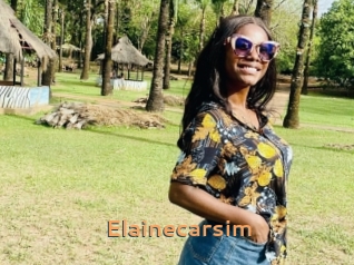 Elainecarsim