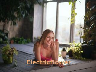 Electricflower