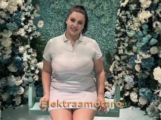 Elektraamotaro