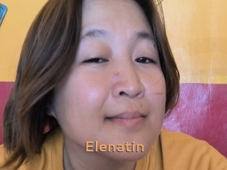 Elenatin