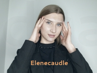 Elenecaudle