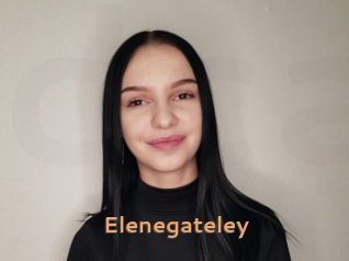 Elenegateley