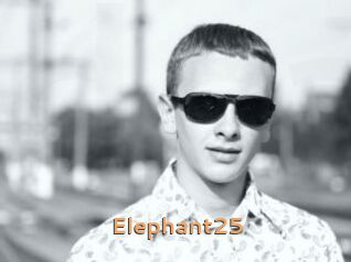 Elephant25
