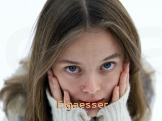 Elgaesser