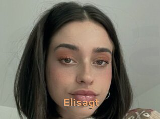 Elisagt