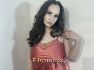 Elisaminix