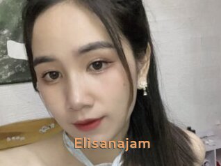 Elisanajam