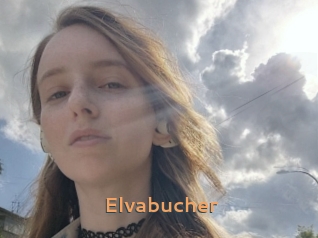 Elvabucher