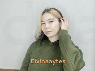 Elvinaaytes