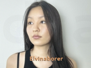 Elvinaborer