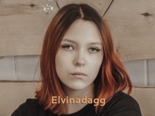 Elvinadagg