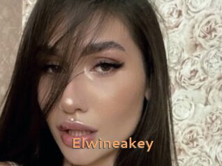 Elwineakey