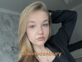Elwinedanbury