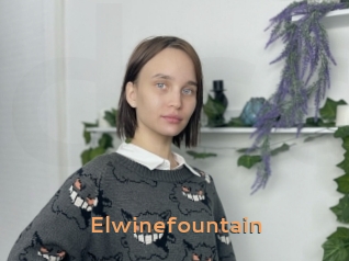 Elwinefountain