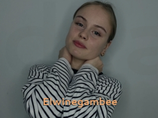 Elwinegambee