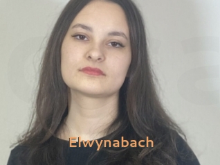 Elwynabach