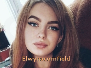Elwynacornfield