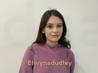 Elwynadudley