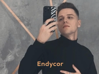 Endycor