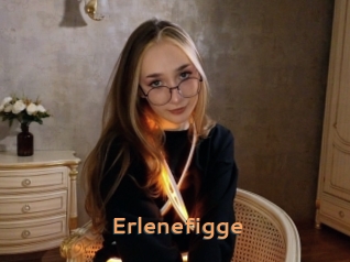 Erlenefigge