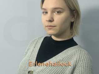 Erlenehallock