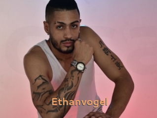 Ethanvogel