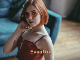Evaafox