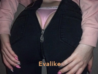 Evalike