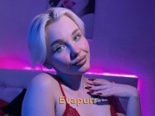 Evapurr