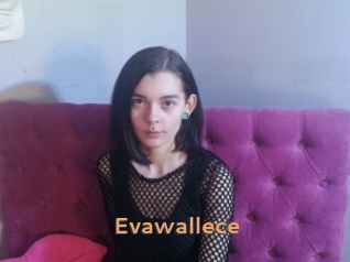 Evawallece