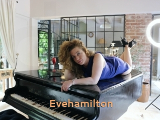 Evehamilton