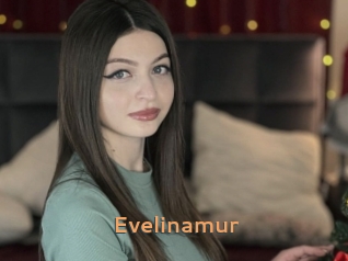 Evelinamur