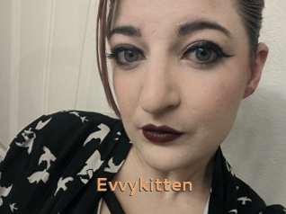 Evvykitten