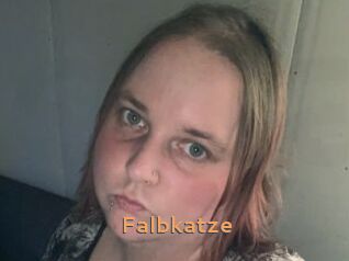 Falbkatze