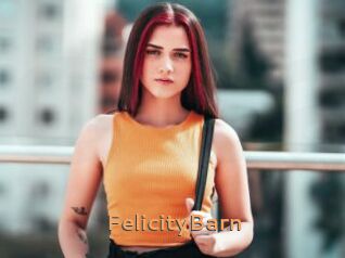 FelicityBarn