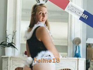 Feline18